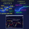 Currency Strength Exotics